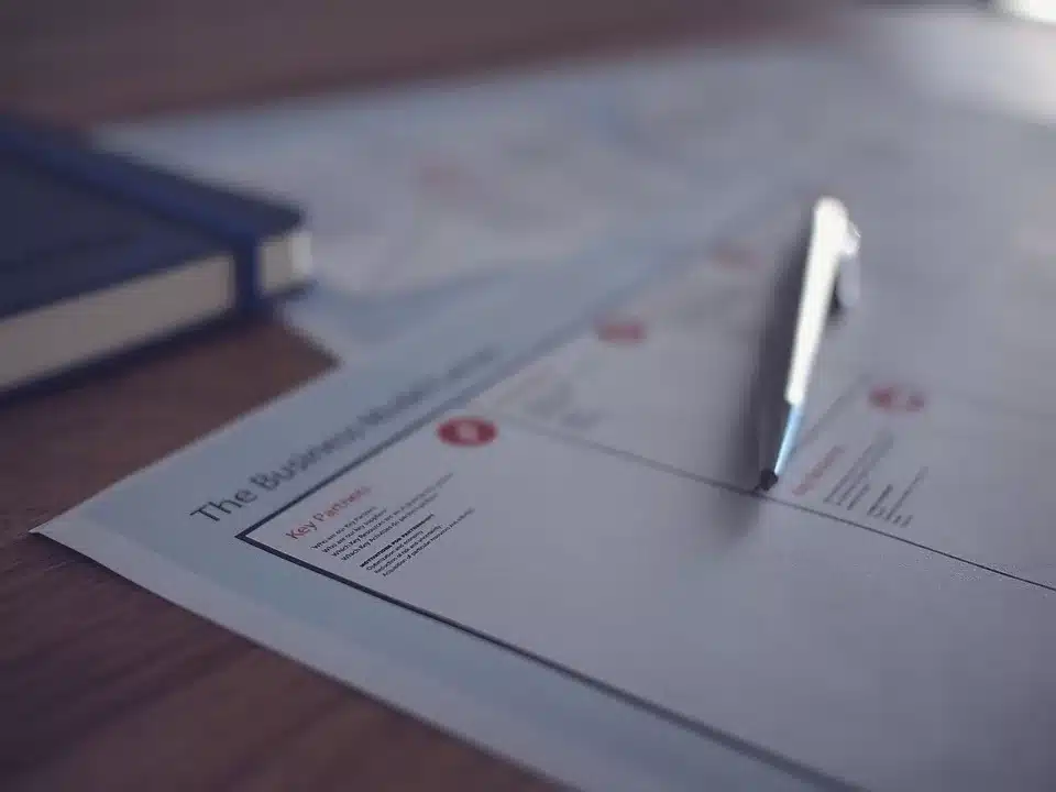 The business strategy